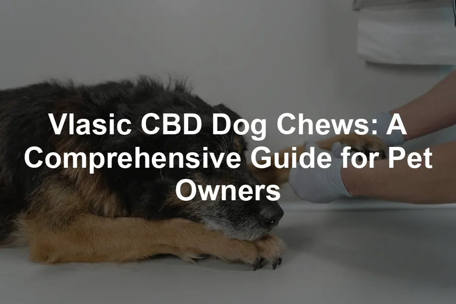 Featured image for Vlasic CBD Dog Chews: A Comprehensive Guide for Pet Owners