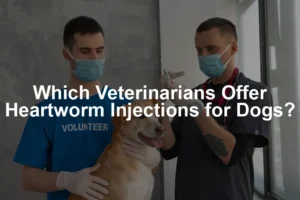 Featured image for Which Veterinarians Offer Heartworm Injections for Dogs?