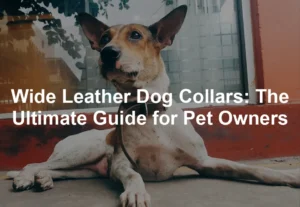 Featured image for Wide Leather Dog Collars: The Ultimate Guide for Pet Owners