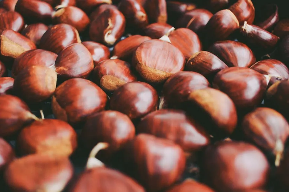 High-quality image of fresh, raw chestnuts with a crisp texture highlighting their natural beauty.