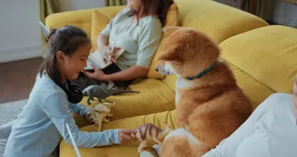 Horizontal video: A girl playing with their pet dog 5998693. Duration: 20 seconds. Resolution: 4096x2160