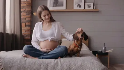 Horizontal video: A pregnant woman petting her dog 6952839. Duration: 15 seconds. Resolution: 1920x1080