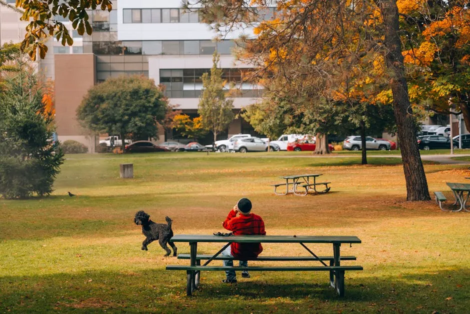 A man sits on a bench with his dog in a city park surrounded by autumn leaves.