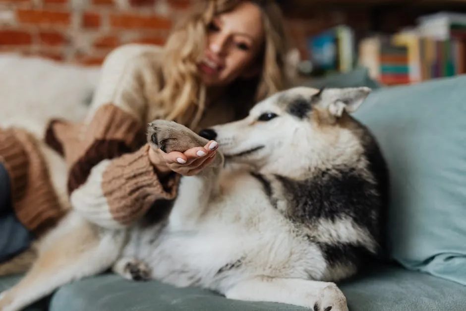 Beautiful Woman Petting a Dog