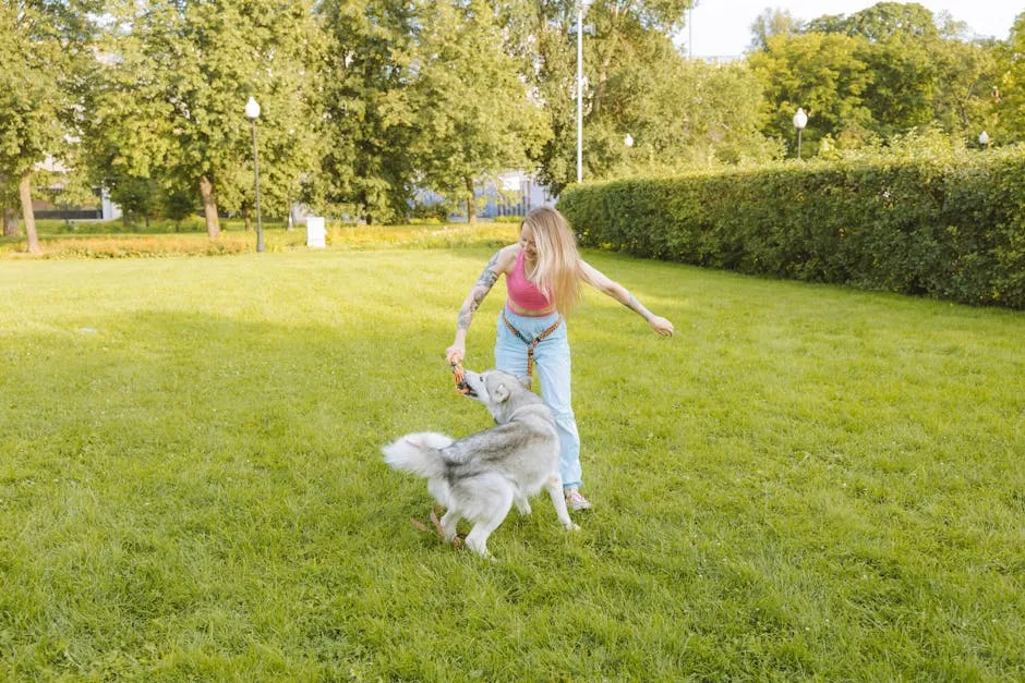 Woman Playing with Her Siberian Husky Dog