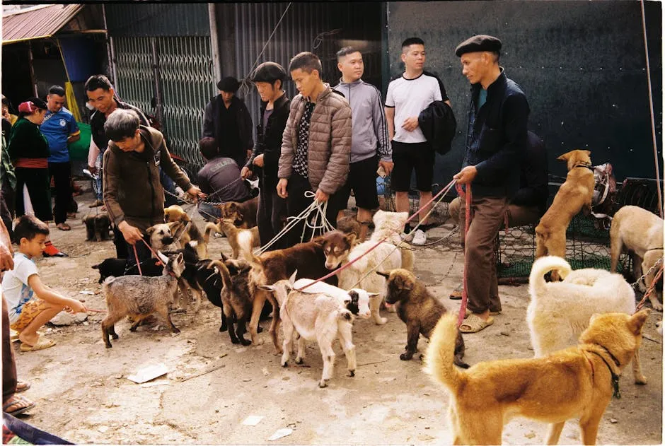 Group of men with various dog breeds on a busy outdoor street scene.
