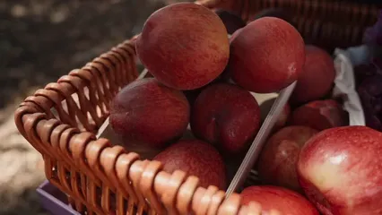 Horizontal video: Variety of organic vegetables and apples on a basket 8540522. Duration: 11 seconds. Resolution: 1920x1080