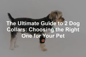 Featured image for The Ultimate Guide to 2 Dog Collars: Choosing the Right One for Your Pet