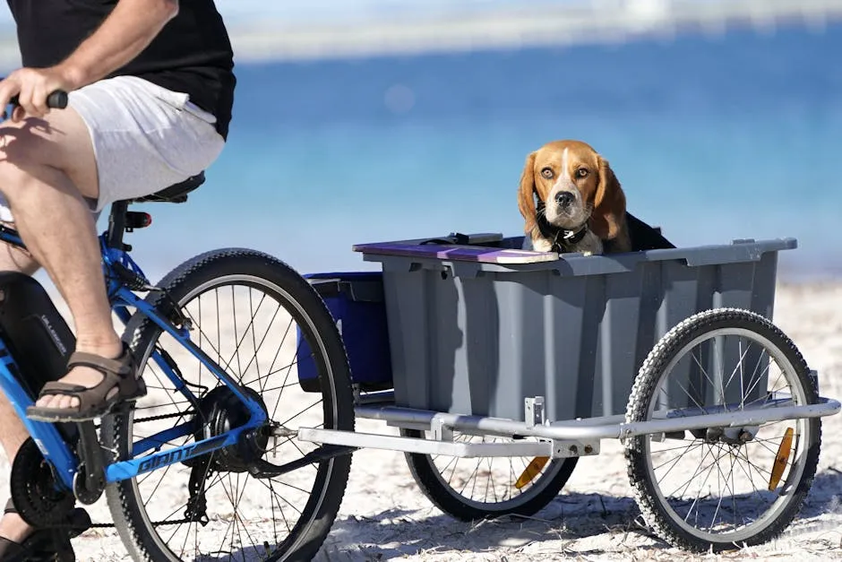 Dog in Bicycle Trailer