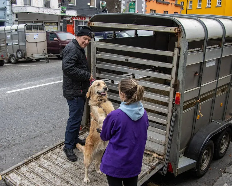 Man and woman with a Golden Retriever by a trailer on a city street.