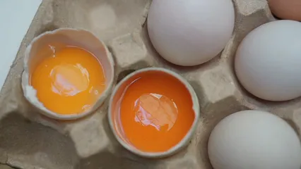 Horizontal video: Close up view of cracked eggs in an egg tray with whole eggs 6288296. Duration: 9 seconds. Resolution: 1920x1080