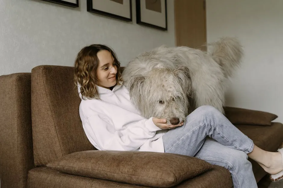 Young woman in hoodie sitting on a couch with a fluffy sapsali dog indoors.