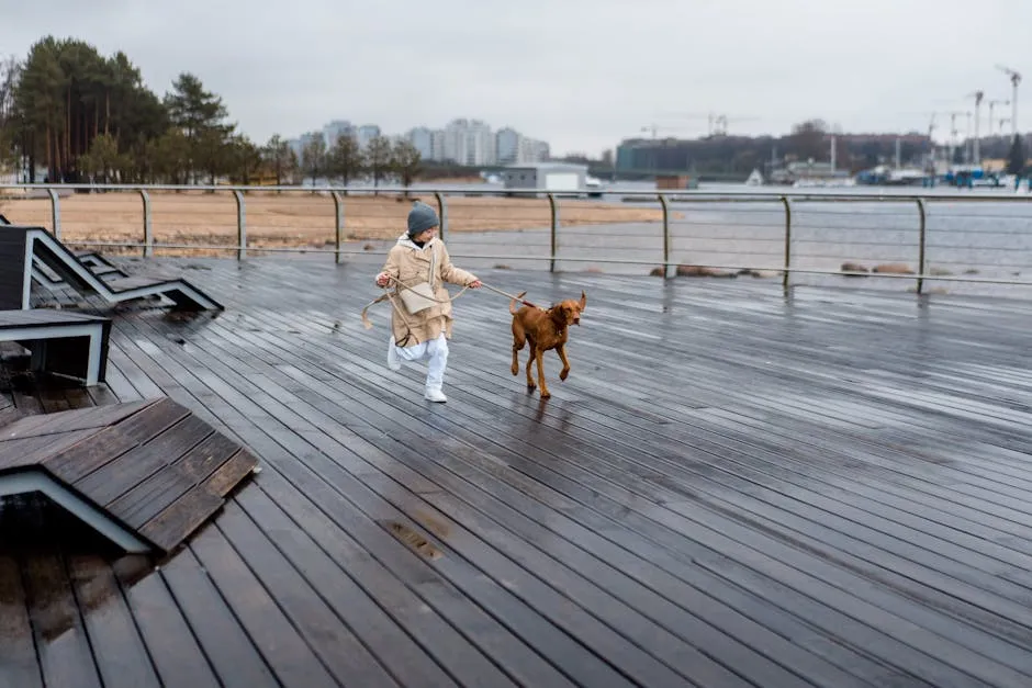 A child holding a dog's leash while running on a wet wooden pier near a waterfront.