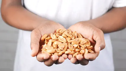 Horizontal video: Stack of peanuts in hands 13048930. Duration: 9 seconds. Resolution: 3840x2160