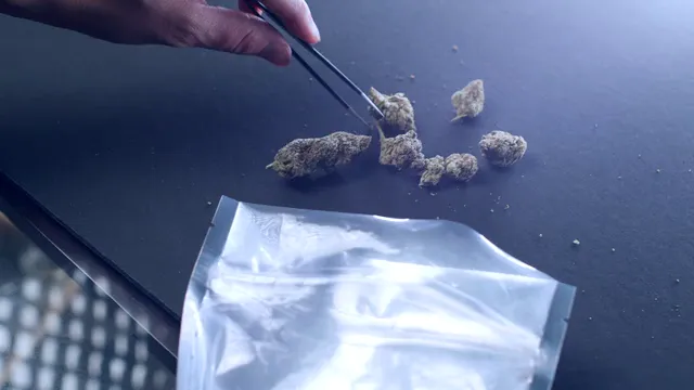 Horizontal video: Packing dried cannabis in a zip lock bag 7667295. Duration: 9 seconds. Resolution: 3840x2160