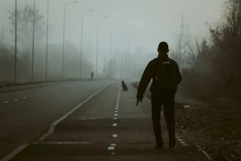 Silhouette of a Man and a Dog on the Side of an Asphalt Road on a Foggy Day