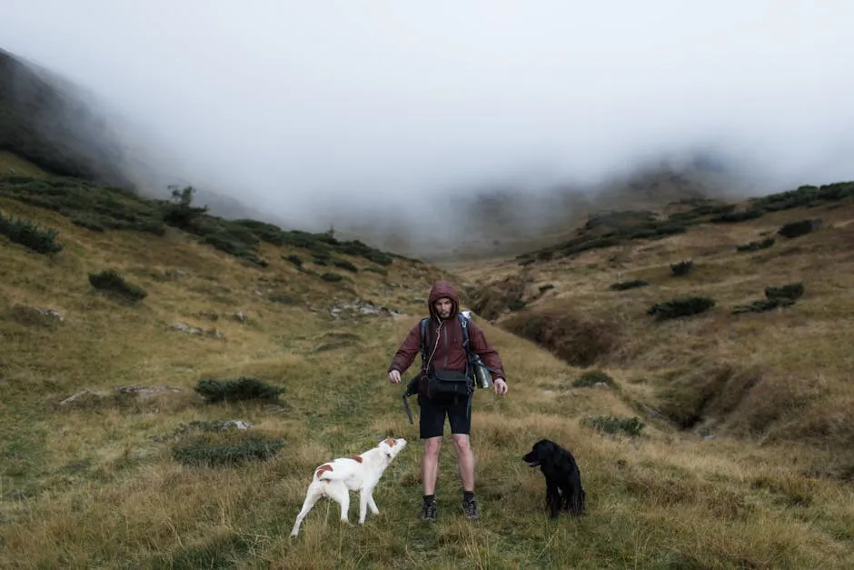 A hiker with two dogs on a foggy mountain trail. Discover nature's serenity.