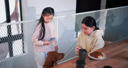 Horizontal video: A dog is sitting at a table with a person and a child 9509583. Duration: 43 seconds. Resolution: 4096x2160
