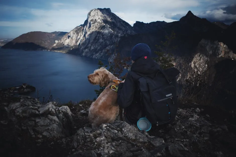 A person and their dog sit on a mountain top enjoying the breathtaking landscape view.