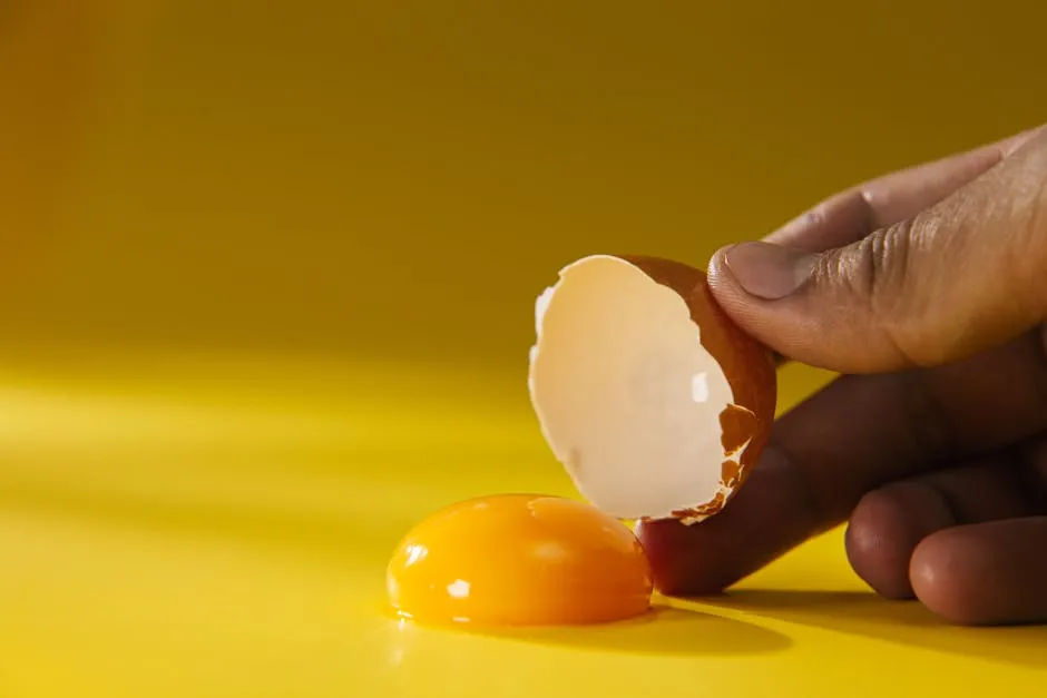 Person holding an Egg Shell