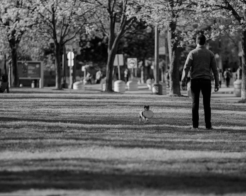 A man playing fetch with a dog in a park surrounded by trees.