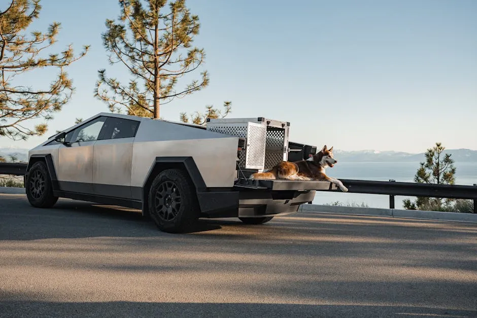 Cybertruck with Dog Overlooking Lake Tahoe