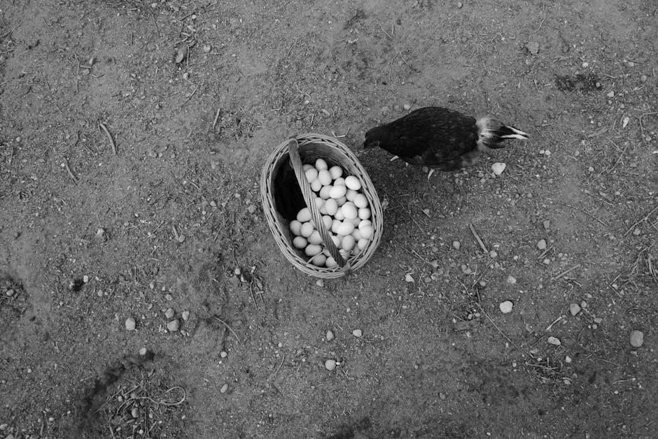 Basket with Fresh Eggs and Chicken