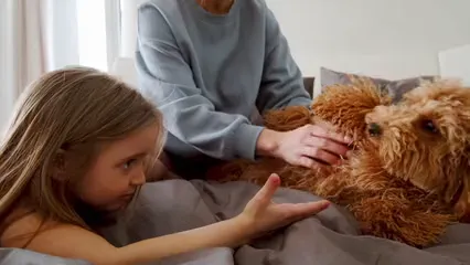 Horizontal video: Family caressing a dog 7568505. Duration: 8 seconds. Resolution: 3840x2160