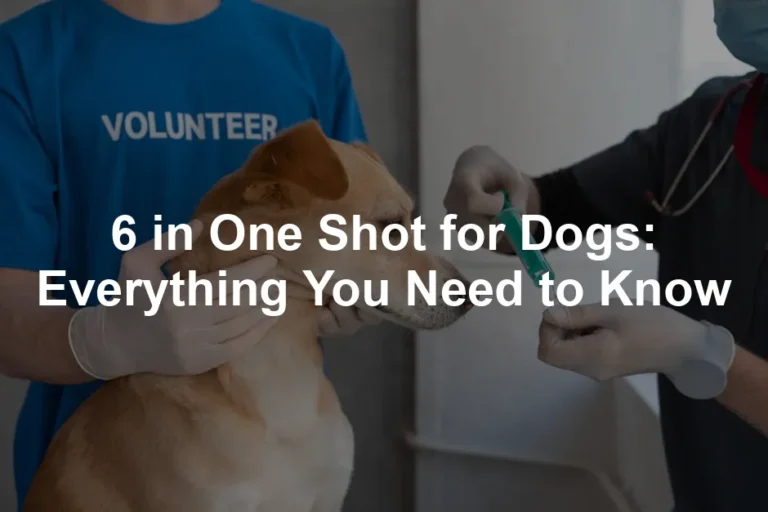 Featured image for 6 in One Shot for Dogs: Everything You Need to Know