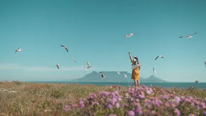 Horizontal video: A woman feeding flying seagulls 5614884. Duration: 21 seconds. Resolution: 3840x2160