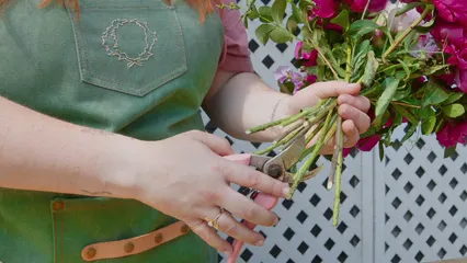Horizontal video: A woman cutting stems of a flowers using a hand pruner 8279164. Duration: 15 seconds. Resolution: 3840x2160