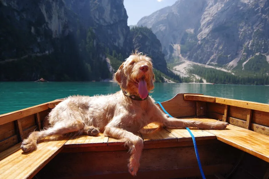 Happy dog relaxing on a boat in picturesque lake