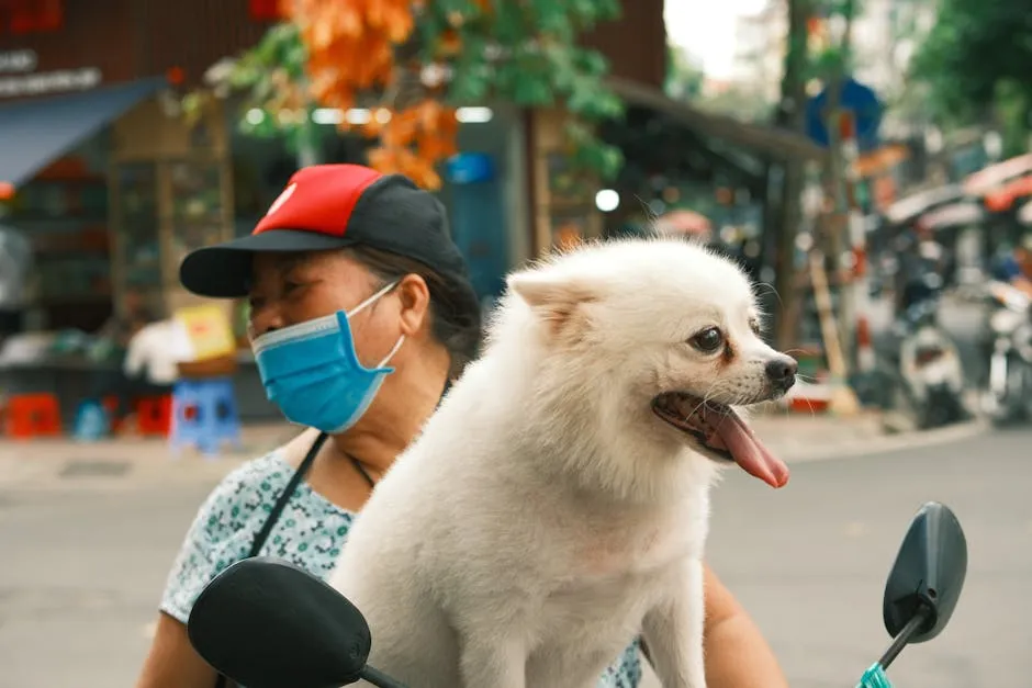 A woman with her dog rides a scooter through a bustling street market in Hanoi, Vietnam.