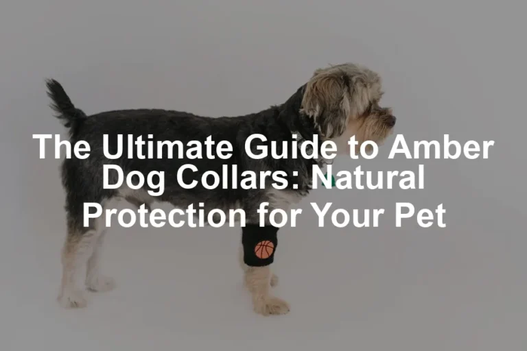 Featured image for The Ultimate Guide to Amber Dog Collars: Natural Protection for Your Pet