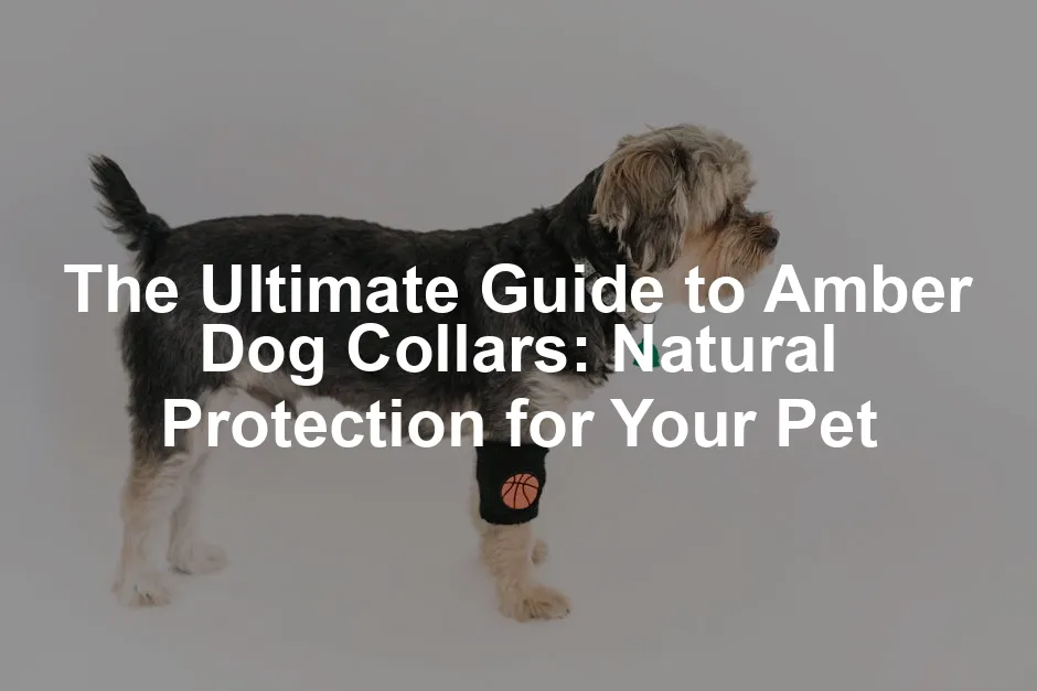 Featured image for The Ultimate Guide to Amber Dog Collars: Natural Protection for Your Pet