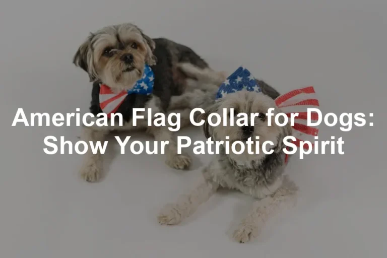 Featured image for American Flag Collar for Dogs: Show Your Patriotic Spirit