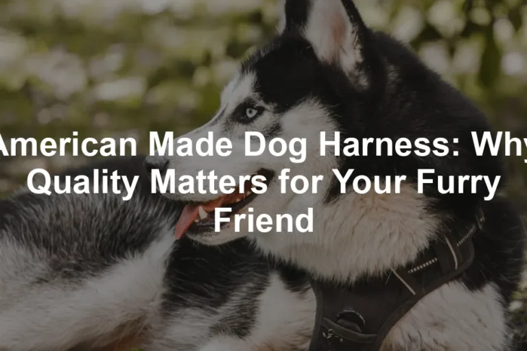 Featured image for American Made Dog Harness: Why Quality Matters for Your Furry Friend