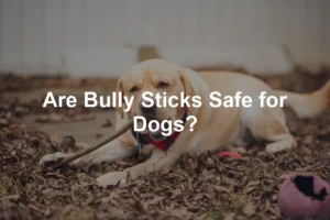 Featured image for Are Bully Sticks Safe for Dogs?