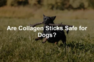 Featured image for Are Collagen Sticks Safe for Dogs?