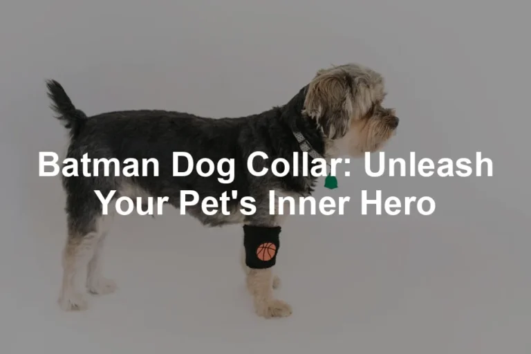 Featured image for Batman Dog Collar: Unleash Your Pet's Inner Hero