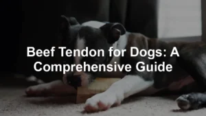 Featured image for Beef Tendon for Dogs: A Comprehensive Guide