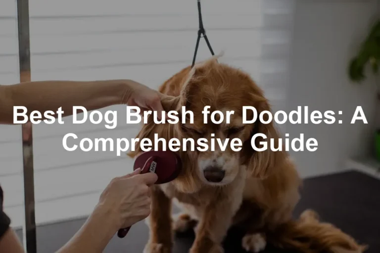 Featured image for Best Dog Brush for Doodles: A Comprehensive Guide