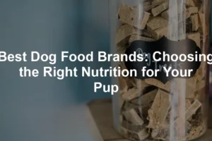 Featured image for Best Dog Food Brands: Choosing the Right Nutrition for Your Pup