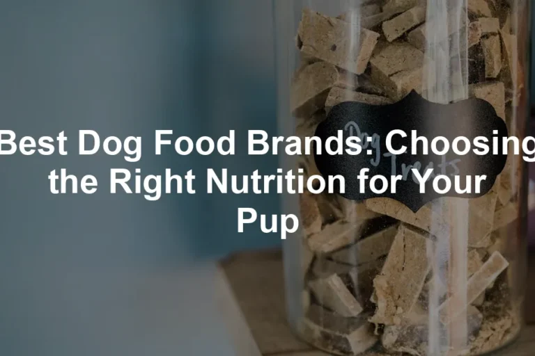 Featured image for Best Dog Food Brands: Choosing the Right Nutrition for Your Pup