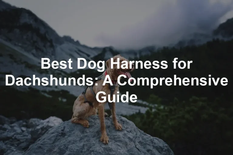 Featured image for Best Dog Harness for Dachshunds: A Comprehensive Guide