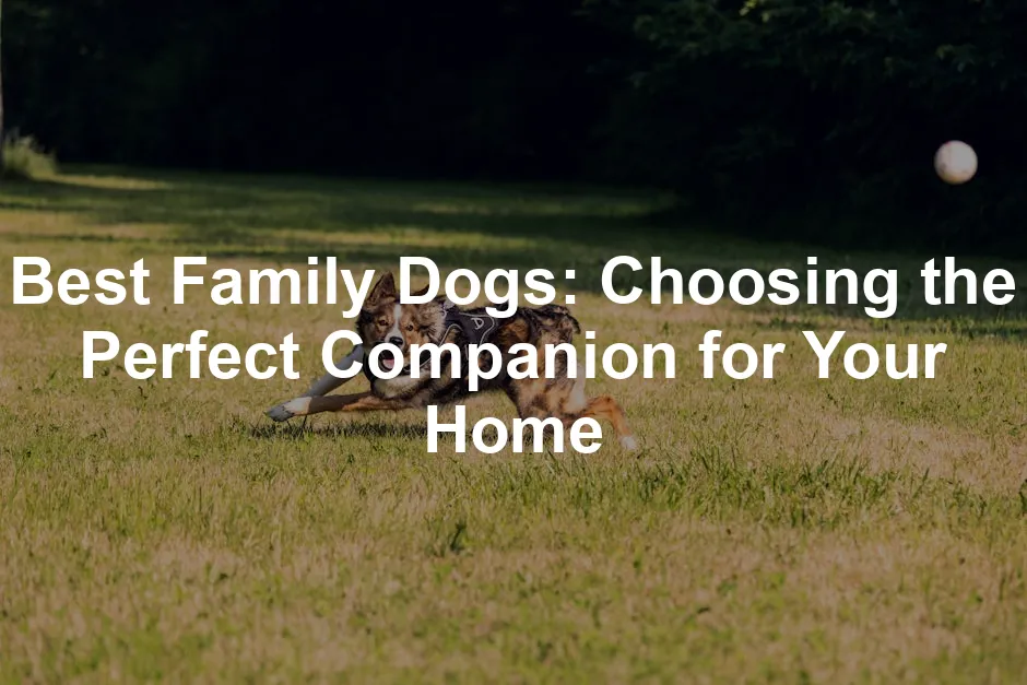 Featured image for Best Family Dogs: Choosing the Perfect Companion for Your Home