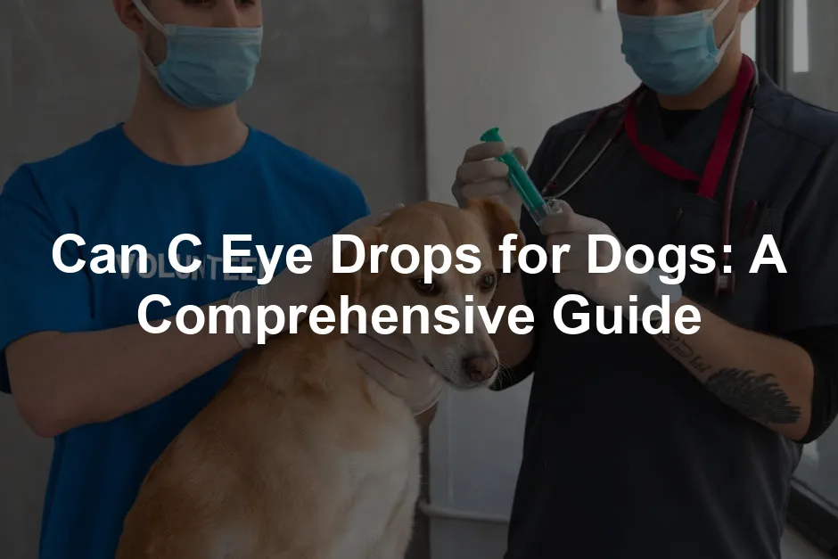 Featured image for Can C Eye Drops for Dogs: A Comprehensive Guide