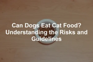 Featured image for Can Dogs Eat Cat Food? Understanding the Risks and Guidelines