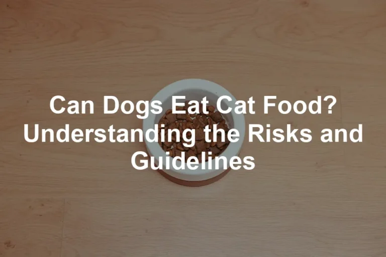 Featured image for Can Dogs Eat Cat Food? Understanding the Risks and Guidelines