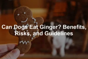 Featured image for Can Dogs Eat Ginger? Benefits, Risks, and Guidelines